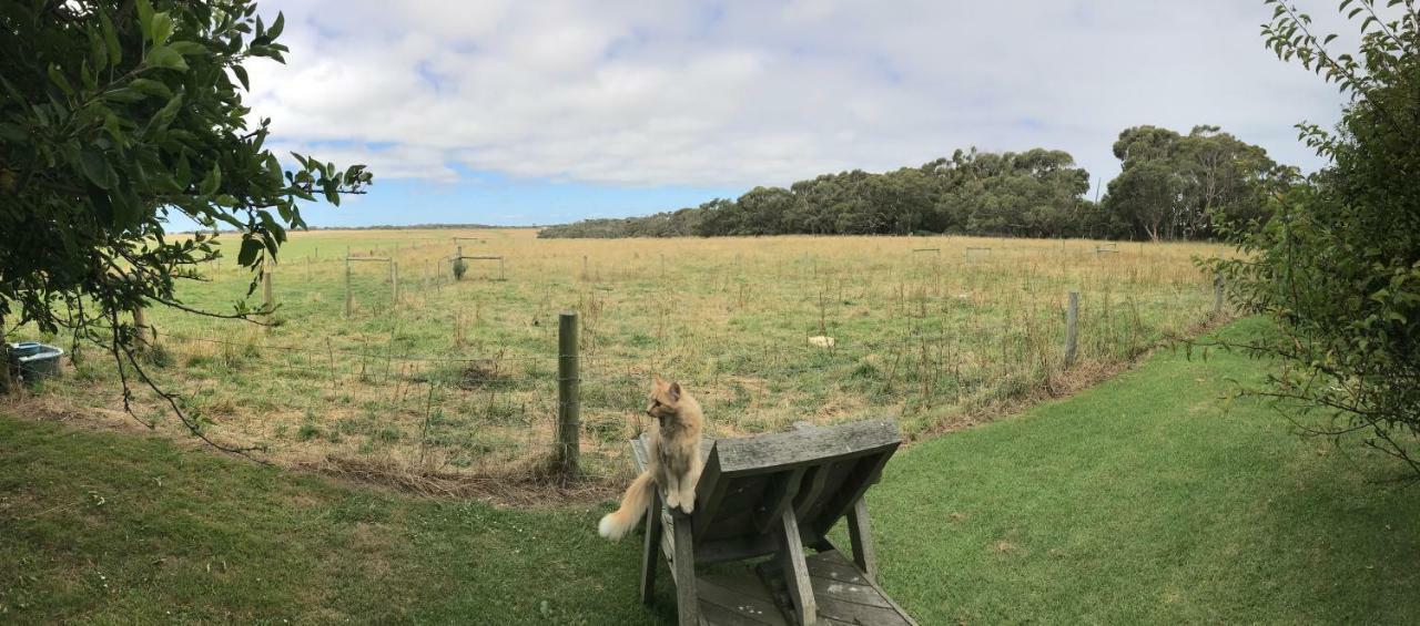 Langleys Port Campbell Hobby Farm Apartment Luaran gambar